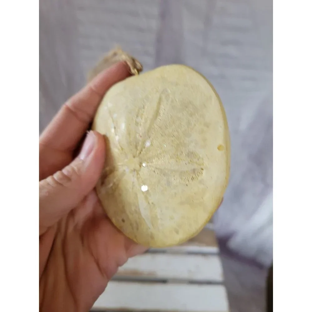 Sand‎ dollar ocean ornament Xmas holiday home tree decor vintage